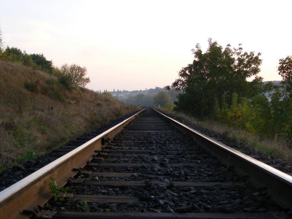Петриків з panoramio.com (ч.2) - Петриків