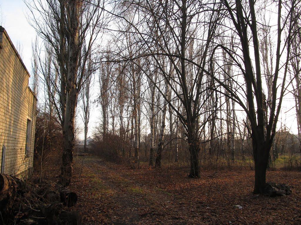 Інгулець з panoramio.com - Інгулець