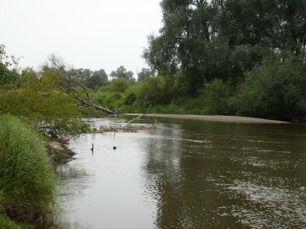 Новоугрузьке з panoramio.com - Новоугрузьке