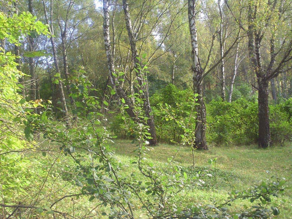 Петрове з panoramio.com - Петрово