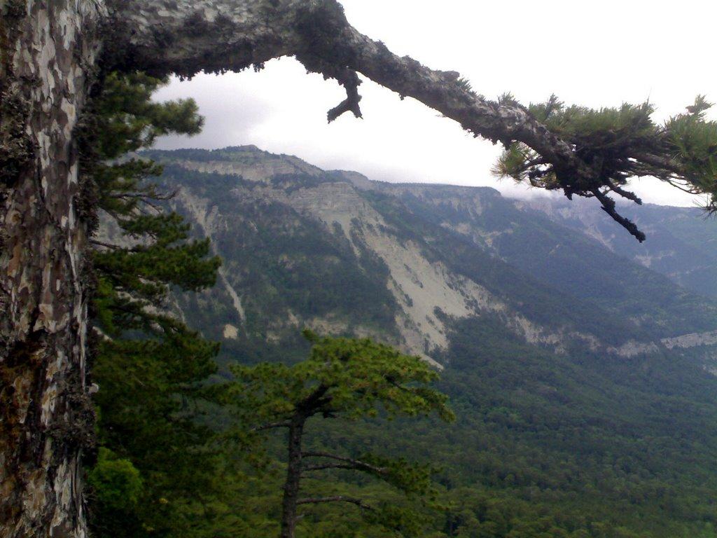 Високогірне з panoramio.com - Высокогорное