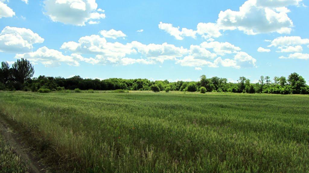 Грушеве з panoramio.com - Грушевое