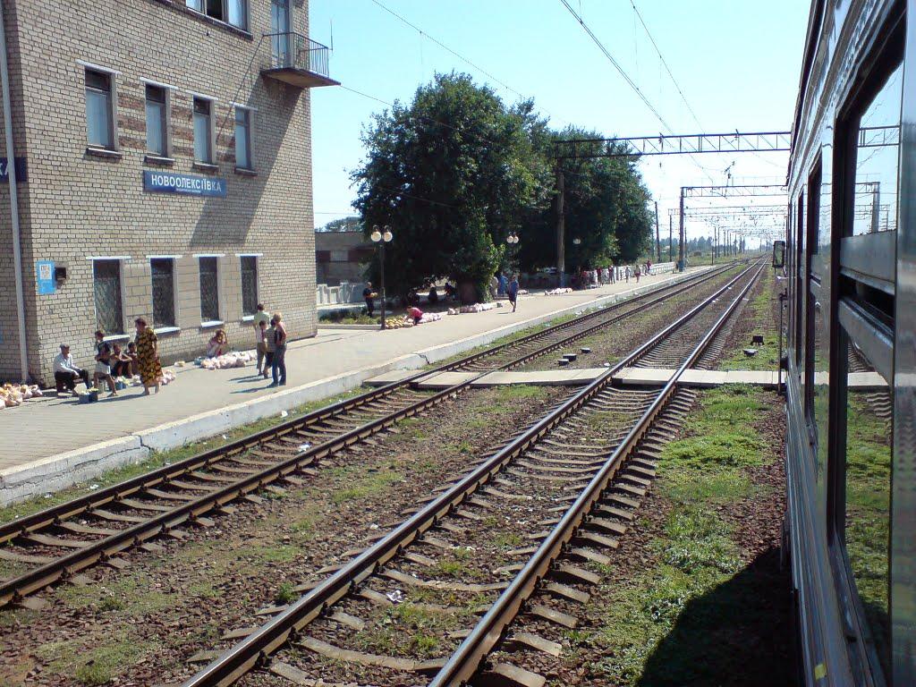 Новоолексіївка з panoramio.com - Новоолексіївка