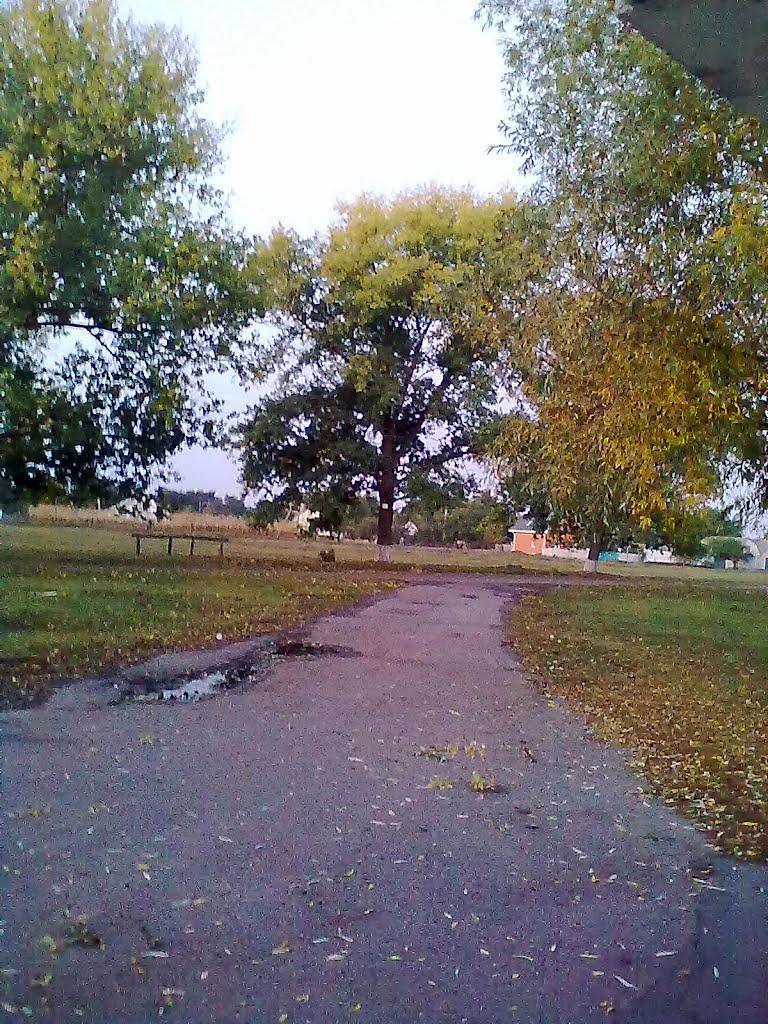 Новаки з panoramio.com - Новаки