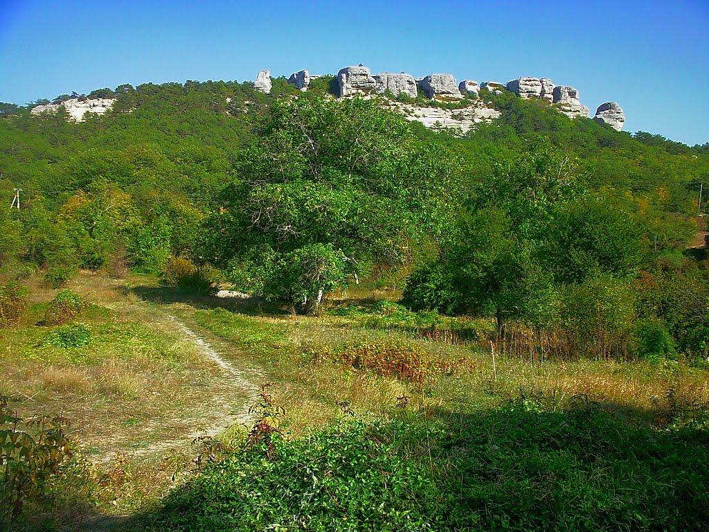 Залісне з panoramio.com (ч.2) - Залесное