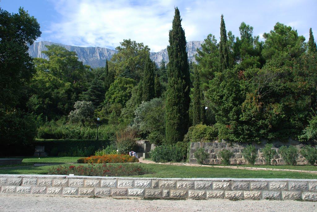 Алупка з panoramio.com (ч.3) - Алупка