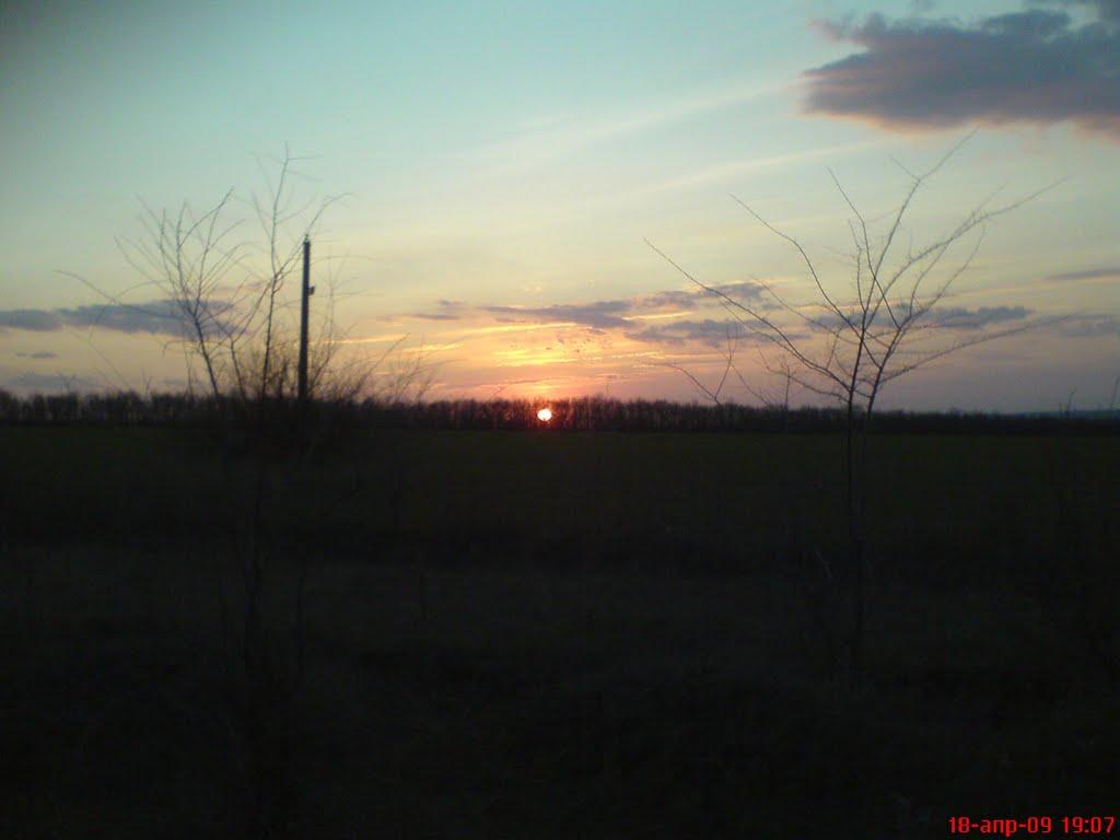 Давидо-Микільське з panoramio.com - Давидо-Микільське