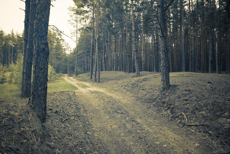 Терентіївка з panoramio.com - Терентиевка
