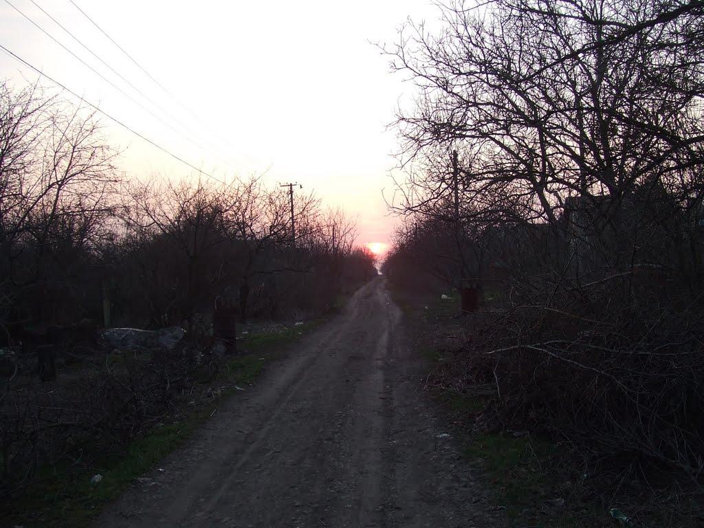 Переможне з panoramio.com - Переможне