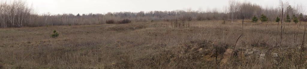 Кряківка з panoramio.com - Кряківка