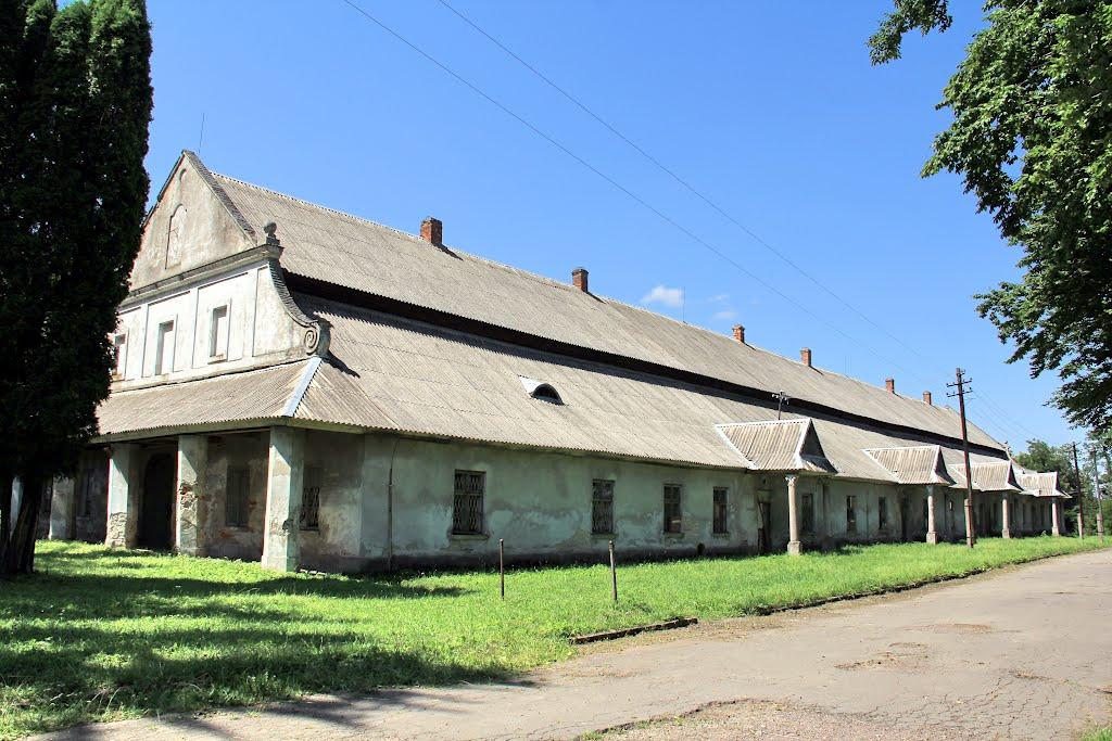 Підгірці з panoramio.com - Подгорцы