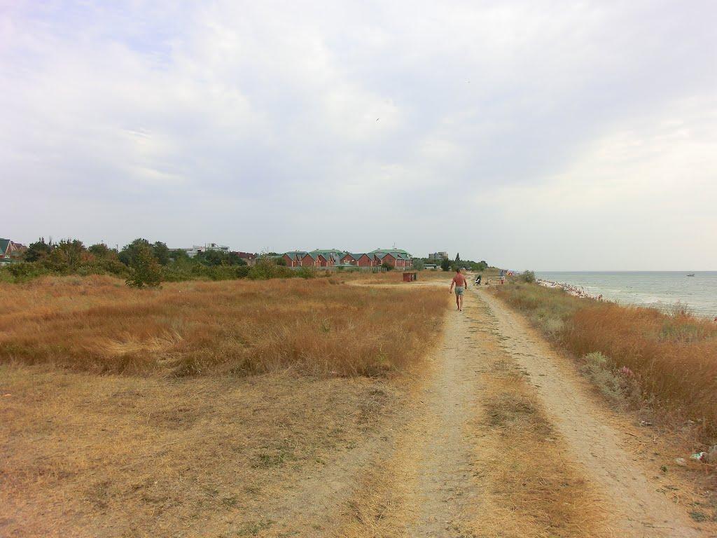 Кирилівка з panoramio.com (ч.2) - Кириловка