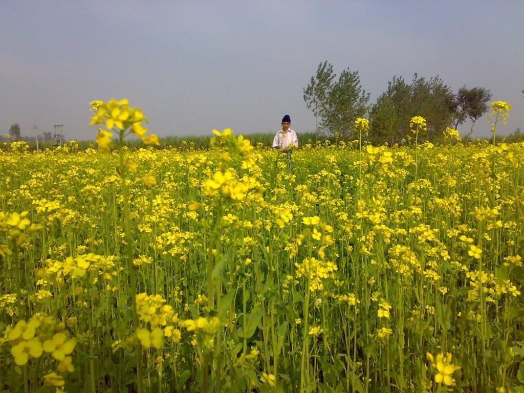 Красносілка з panoramio.com - Красносілка