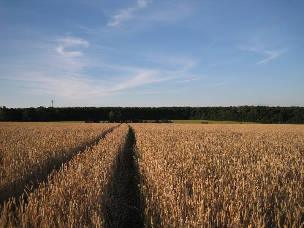 Іскрівка з panoramio.com - Іскрівка