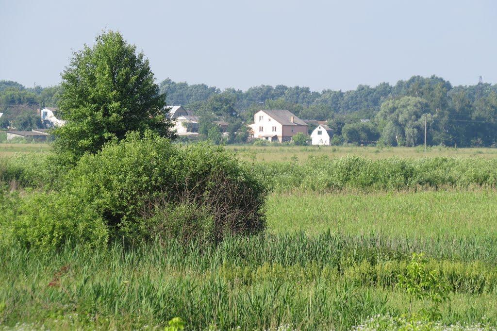 Софіївка з panoramio.com - Софіївка