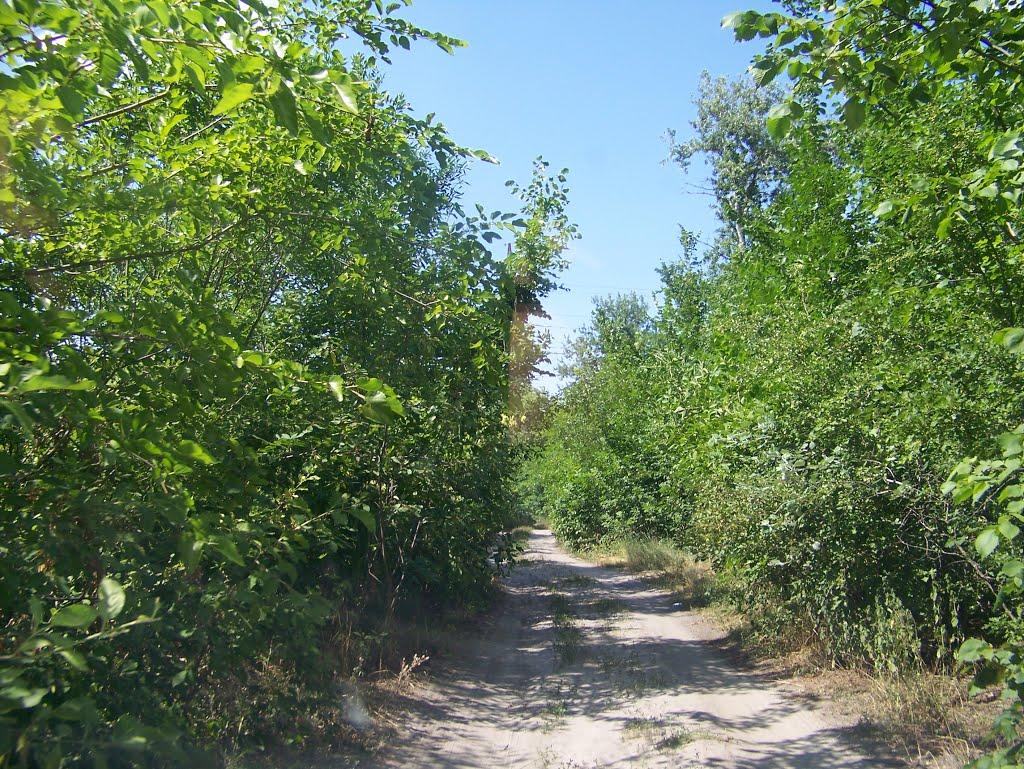 Потоки з panoramio.com - Потоки