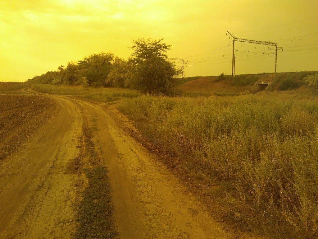 Іллічівка з panoramio.com - Іллічівка