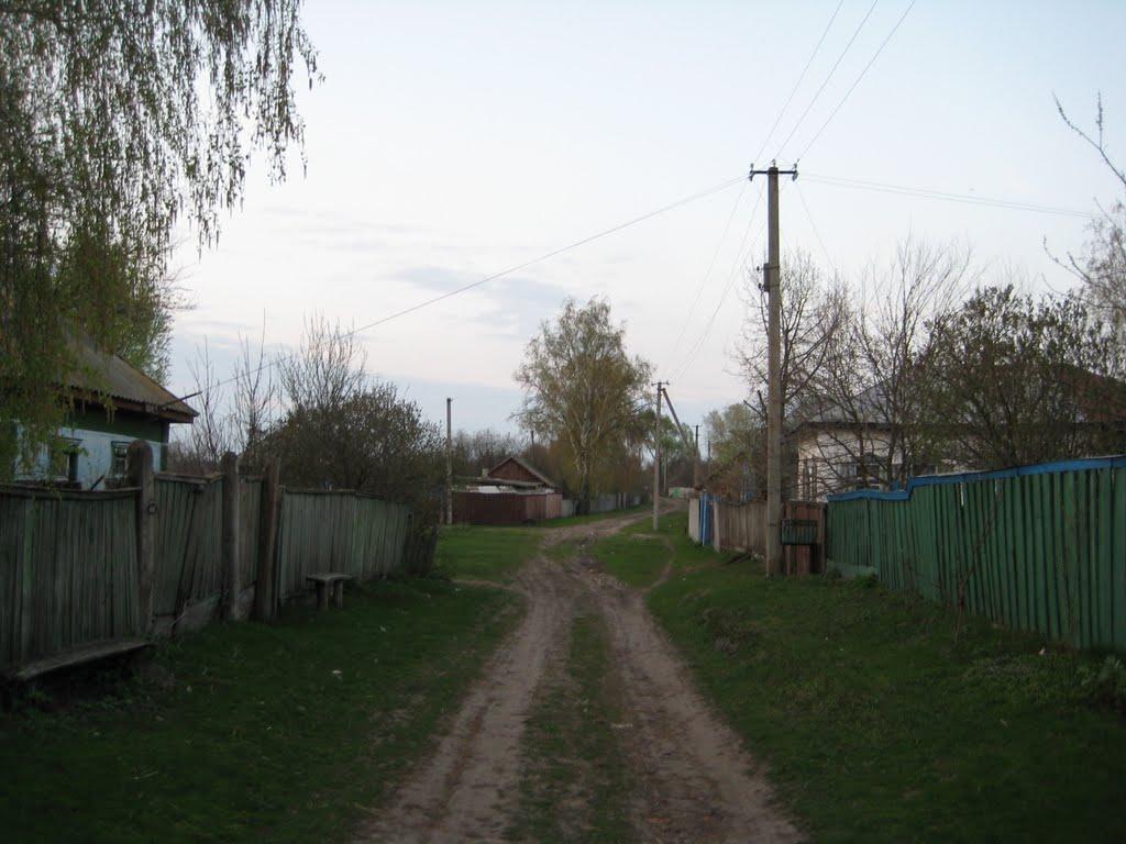 Кузьки з panoramio.com - Кузьки