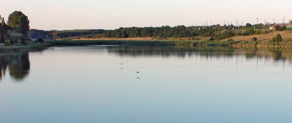 Комісарівка з panoramio.com - Комісарівка