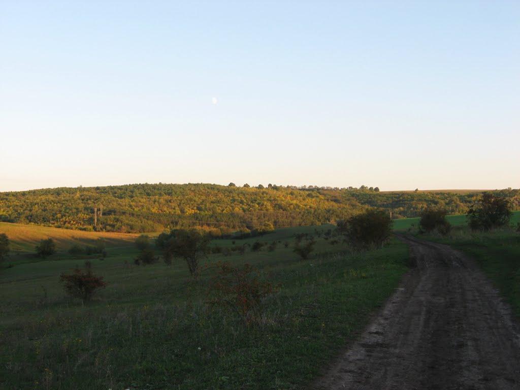 Домниця з panoramio.com - Домниця