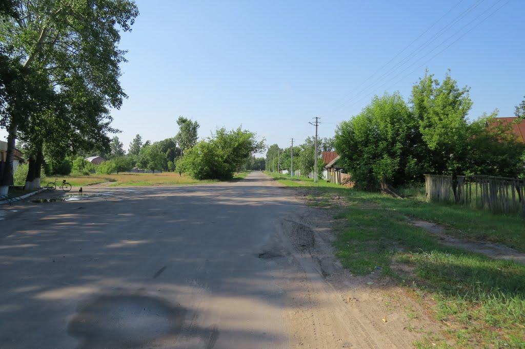 Софіївка з panoramio.com - Софіївка