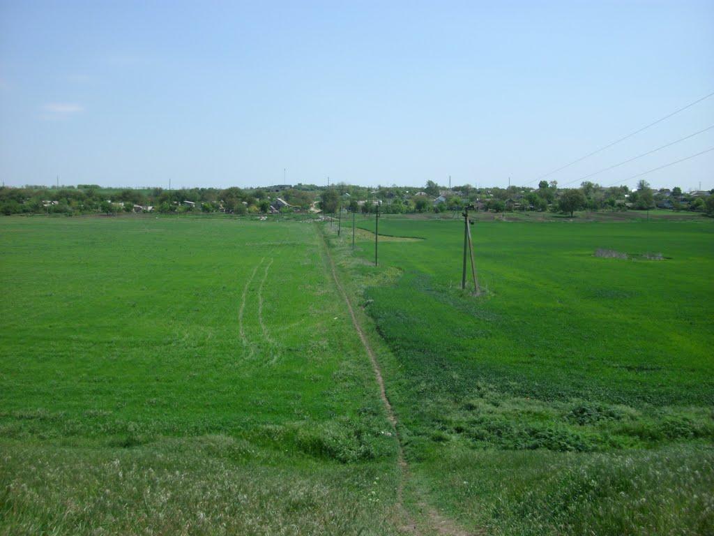 Широка Балка з panoramio.com - Широка Балка