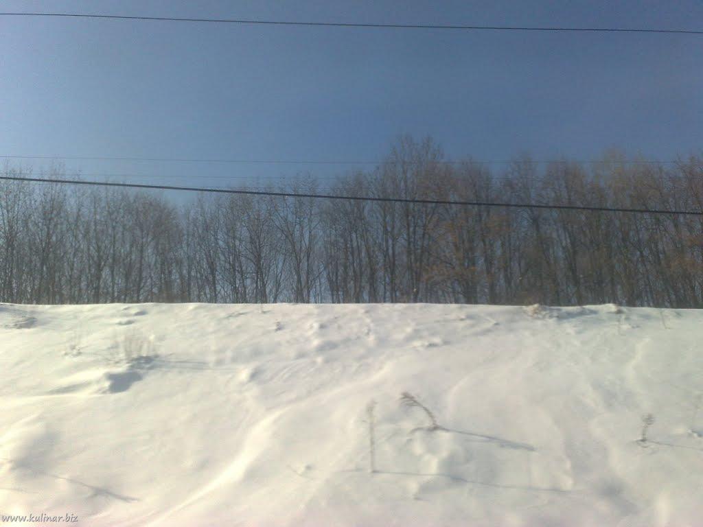 Жуківці з panoramio.com - Жуківці