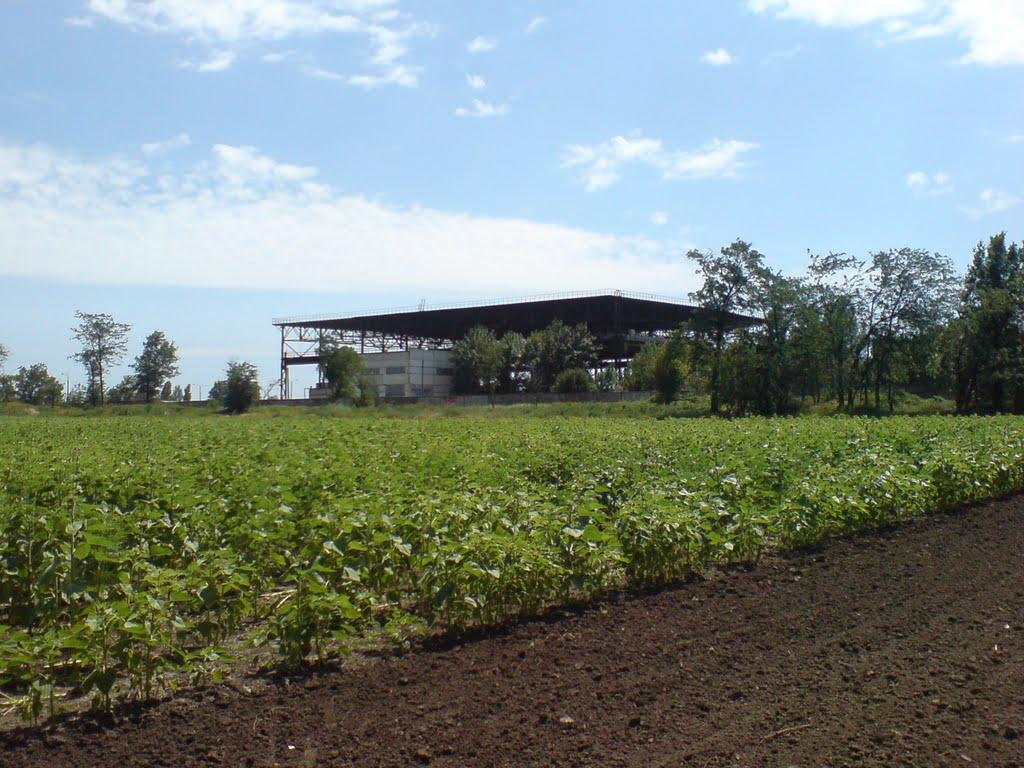 Бердянськ з panoramio.com (ч.3) - Бердянск