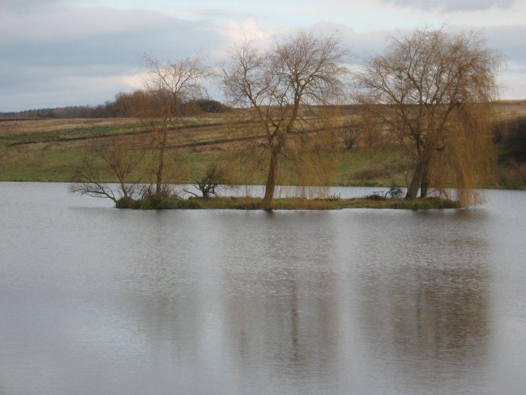 Перемишляни з panoramio.com - Перемишляни