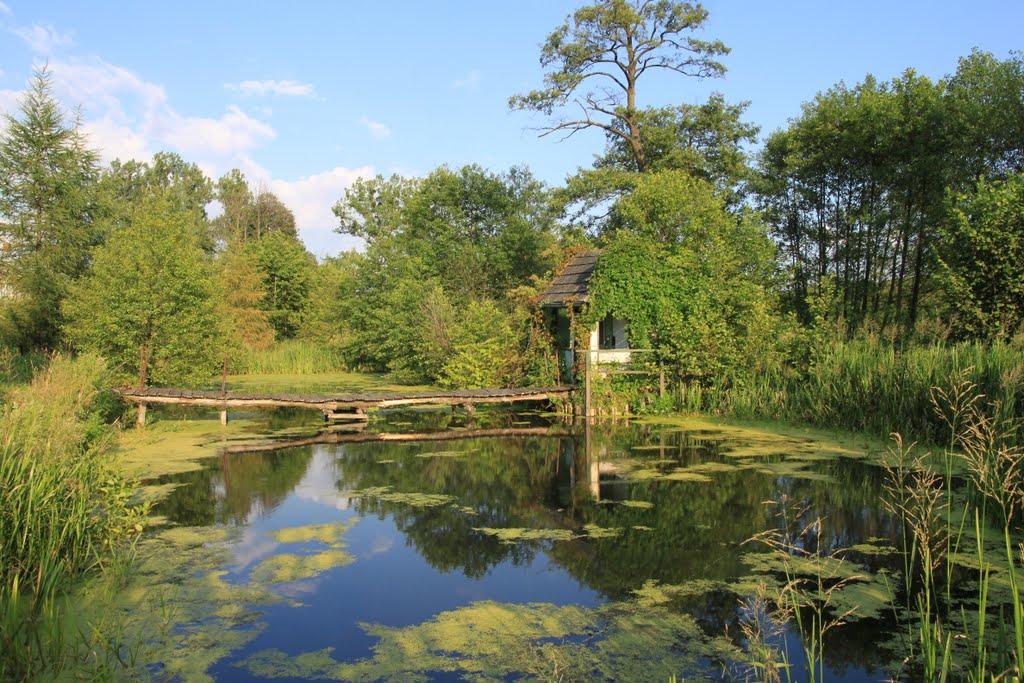 Ковалі з panoramio.com - Ковалі