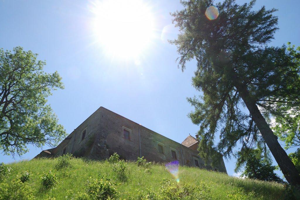 Свірж з panoramio.com