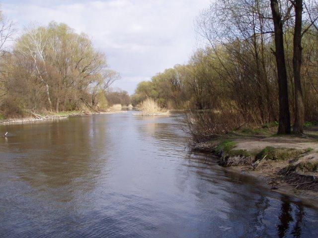 Новоайдар з panoramio.com - Новоайдар