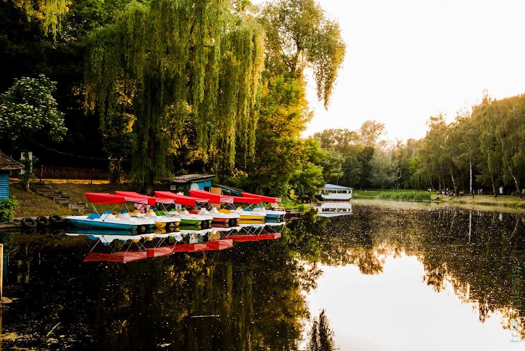 Софіївська Борщагівка з panoramio.com (ч.2) - Софиевская Борщаговка