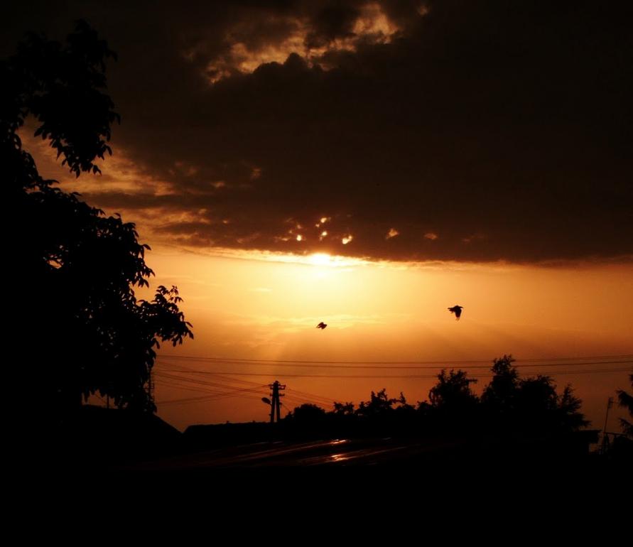 Новоугрузьке з panoramio.com