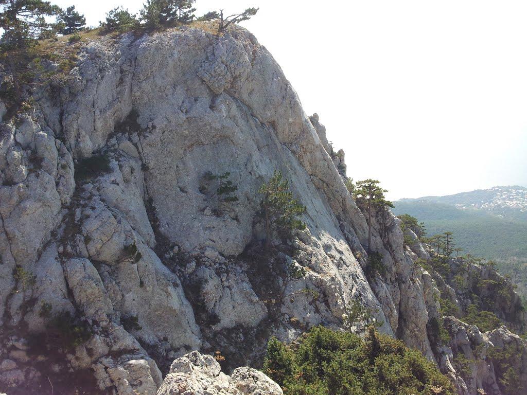 Алупка з panoramio.com (ч.3) - Алупка