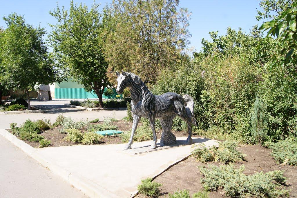 Білогірськ з panoramio.com - Білогірськ