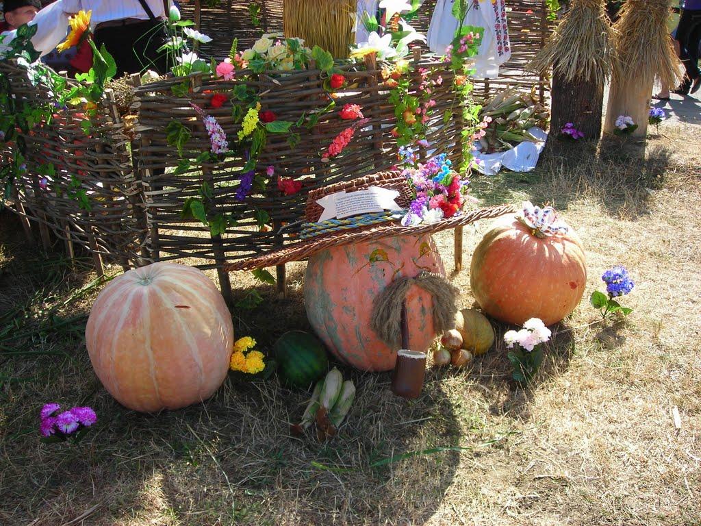 Красенівка з panoramio.com - Красенівка