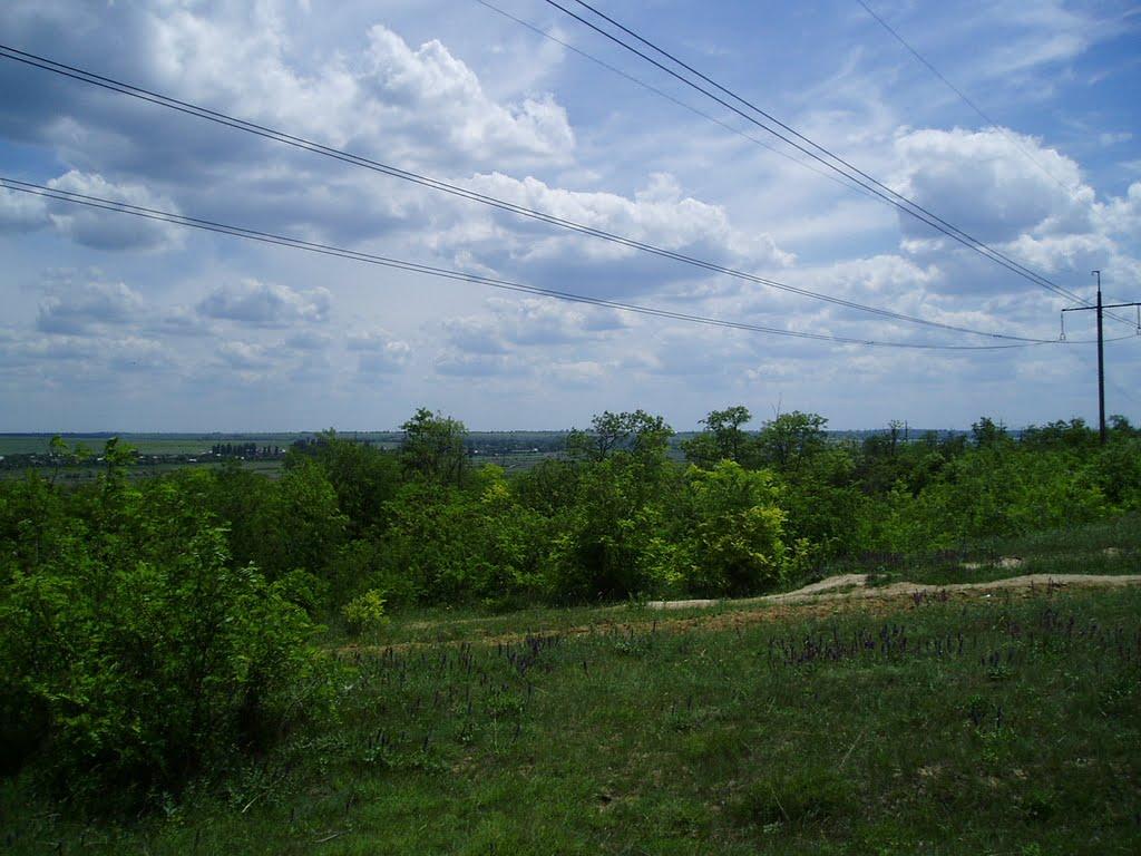 Павлівка з panoramio.com - Павлівка