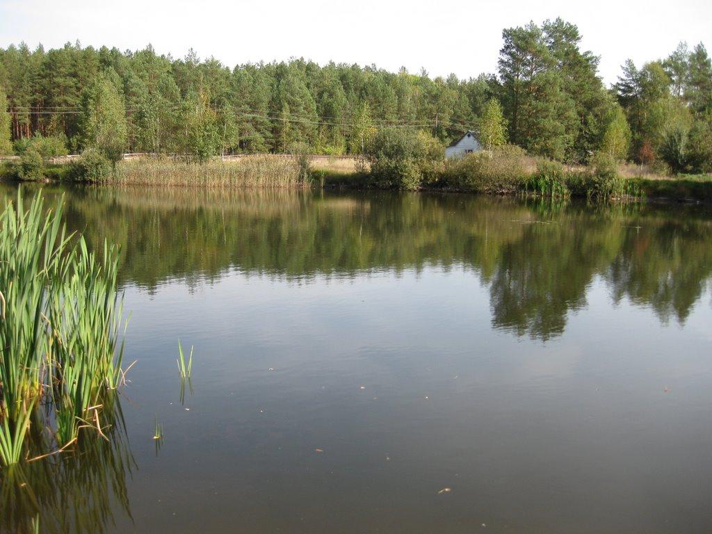 Малин з panoramio.com - Малин