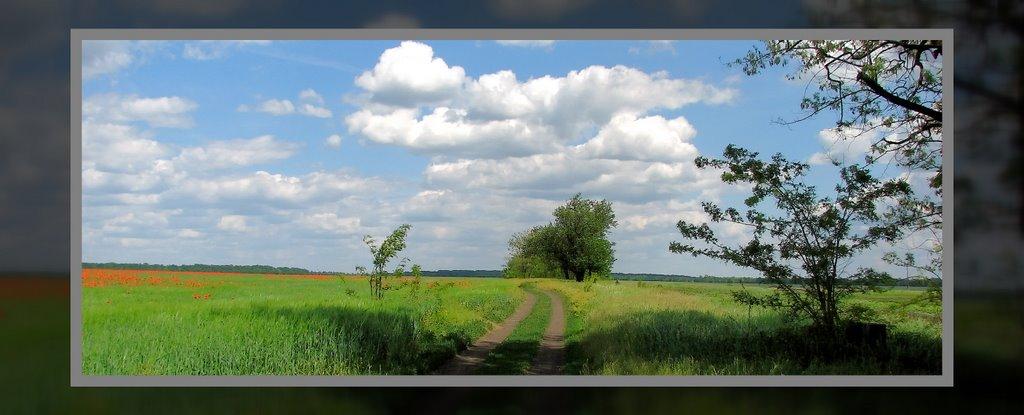 Підгородна з panoramio.com - Подгородная
