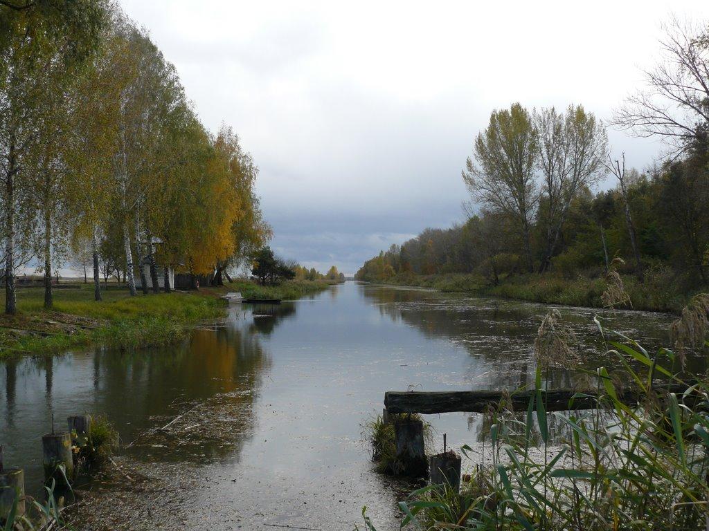 Косачівка з panoramio.com - Косачівка