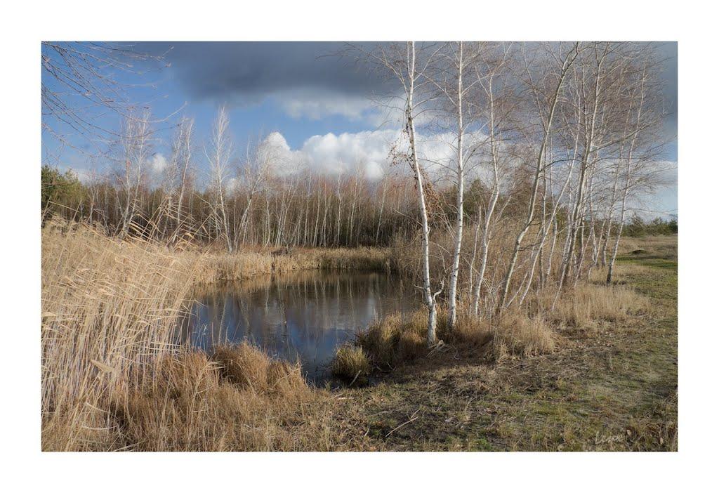 Житлівка з panoramio.com - Житлівка