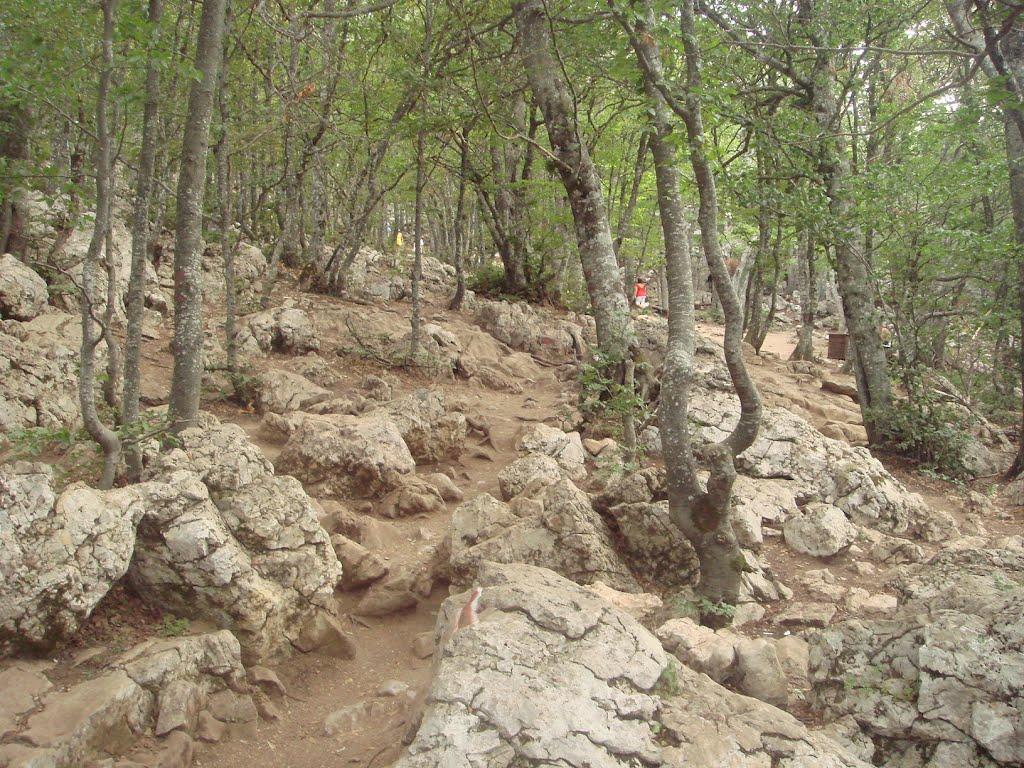 Охотниче з panoramio.com (ч.3) - Охотничее