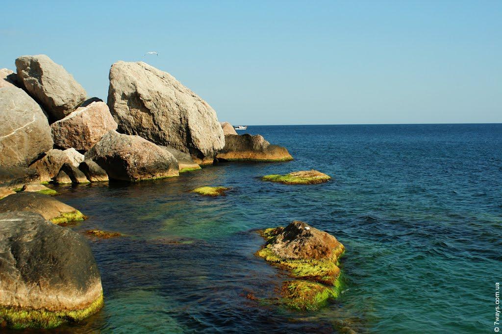 Резервне з panoramio.com (ч.4) - Резервное