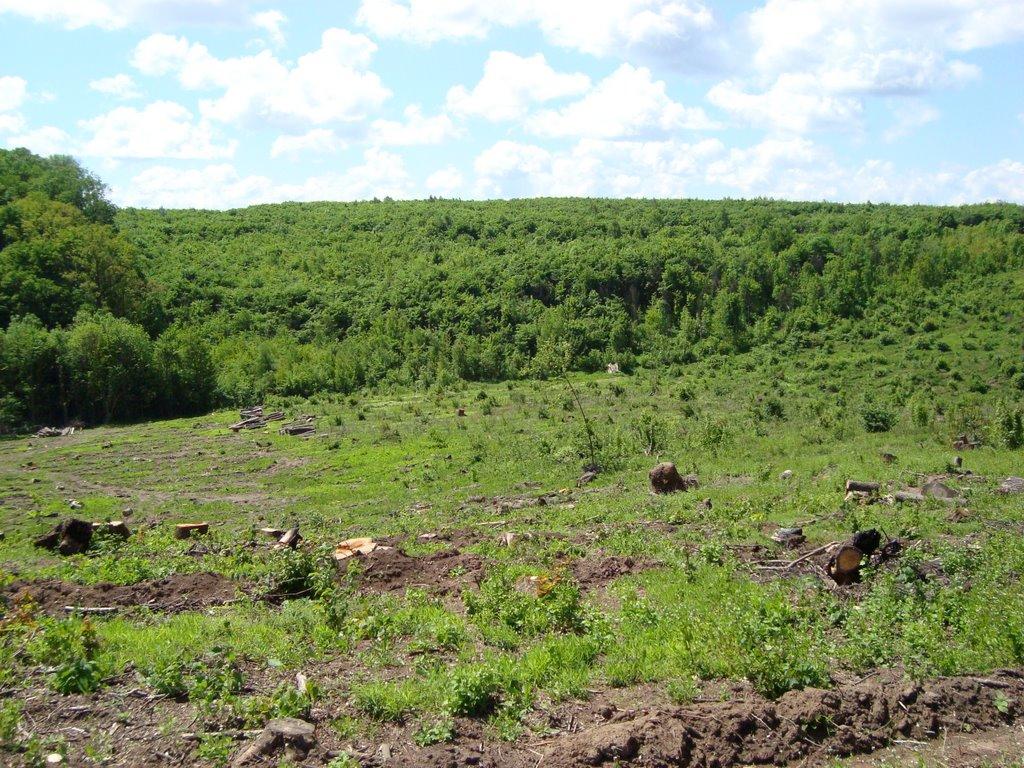 Новоукраїнка з panoramio.com - Новоукраїнка