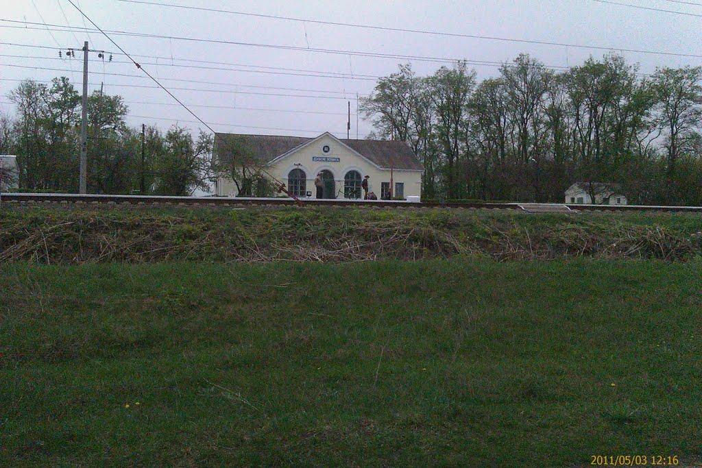 В'язове з panoramio.com - В'язове