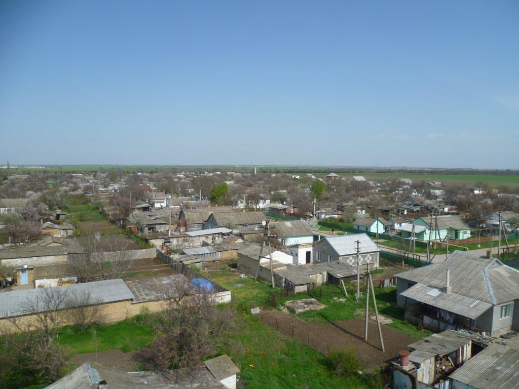 Полтавка з panoramio.com - Полтавка