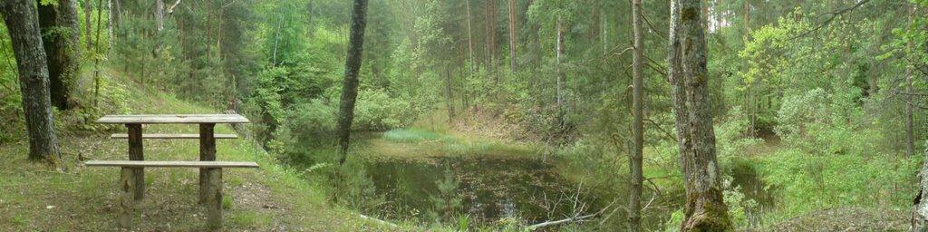 Кушкине з panoramio.com - Кушкино