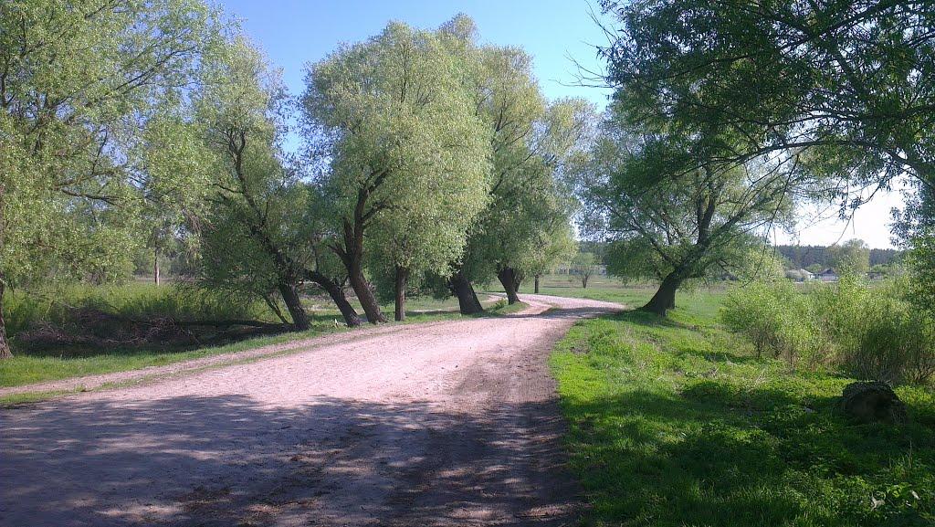 Слоут з panoramio.com - Слоут