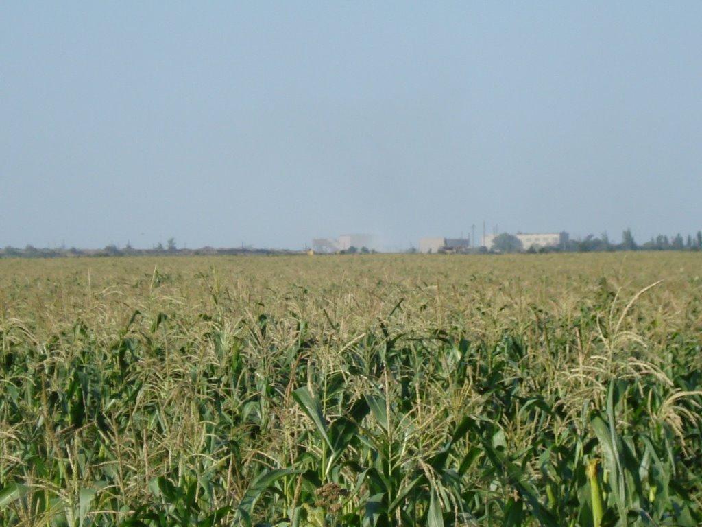 Кіровське з panoramio.com - Кировское